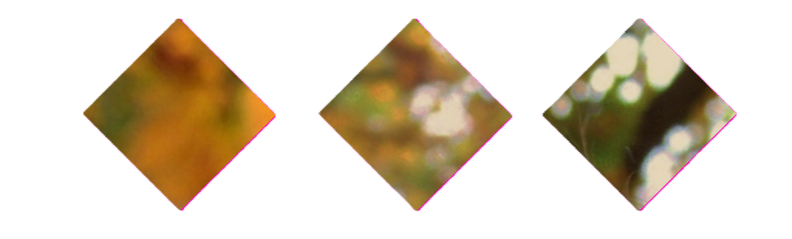 Separator